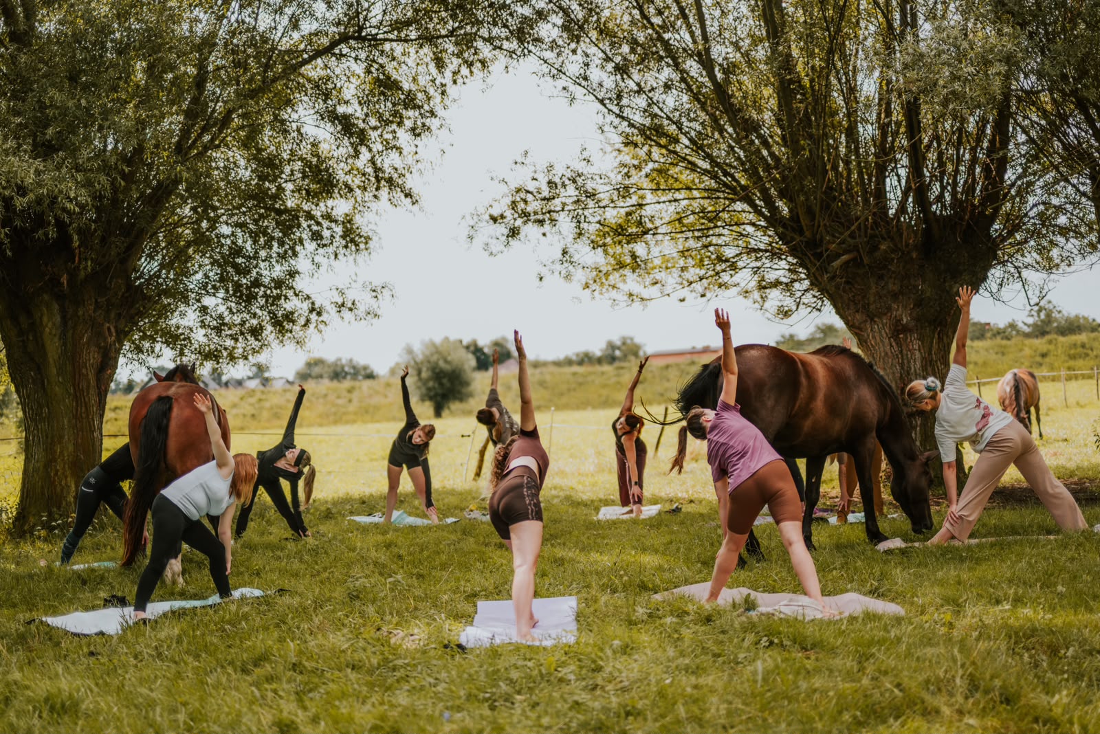 Joga z końmi nad Wisłą- Kraków Płaszów